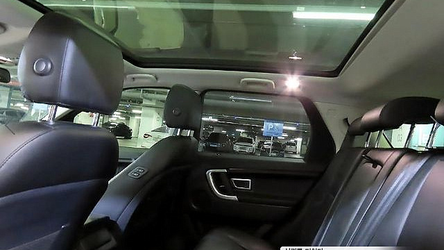 Land Rover DISCOVERY SPORT 2.0 TD4 SE (150PS) купить на сайте DeffCars