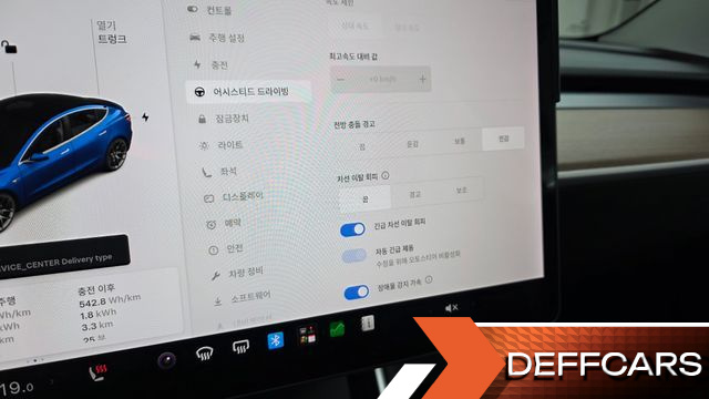 Tesla MODEL 3 Performance AWD купить на сайте DeffCars
