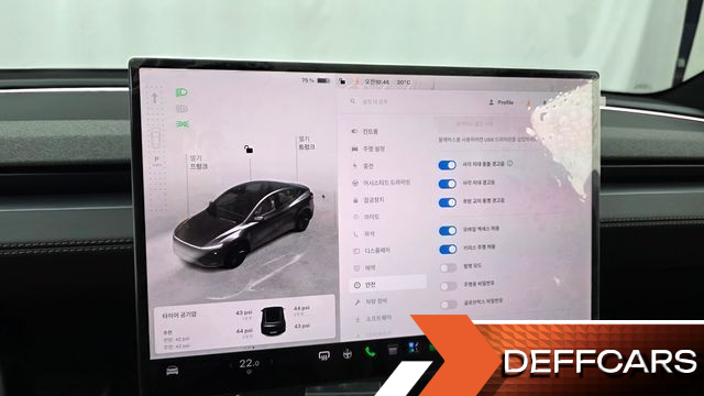 Tesla MODEL Y Premium Long Range AWD купить на сайте DeffCars