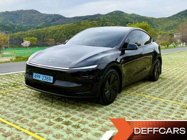 Tesla MODEL Y Long Range AWD купить на сайте DeffCars