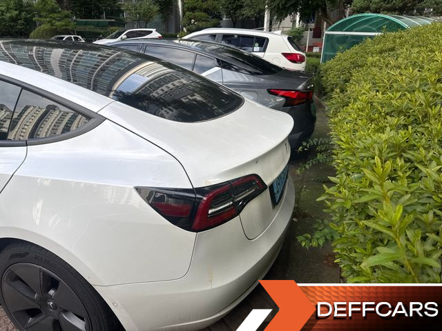 Tesla MODEL 3 Long Range AWD купить на сайте DeffCars